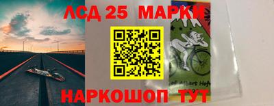 индика Новодвинск