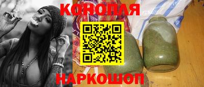 индика Новодвинск