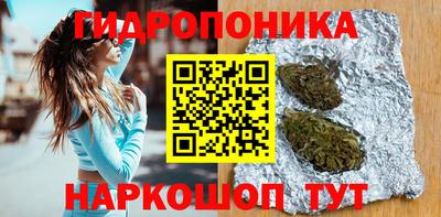 индика Новодвинск