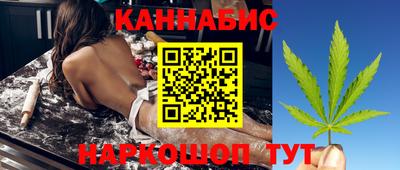 индика Новодвинск