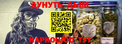 МДПВ Новозыбков