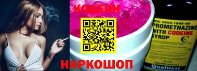 индика Новодвинск